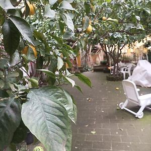 Il Giardino Nascosto